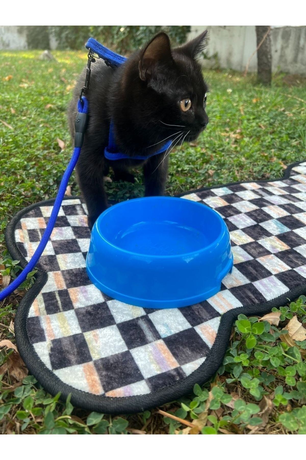 Pet Food Mat - (70 x 36) Green