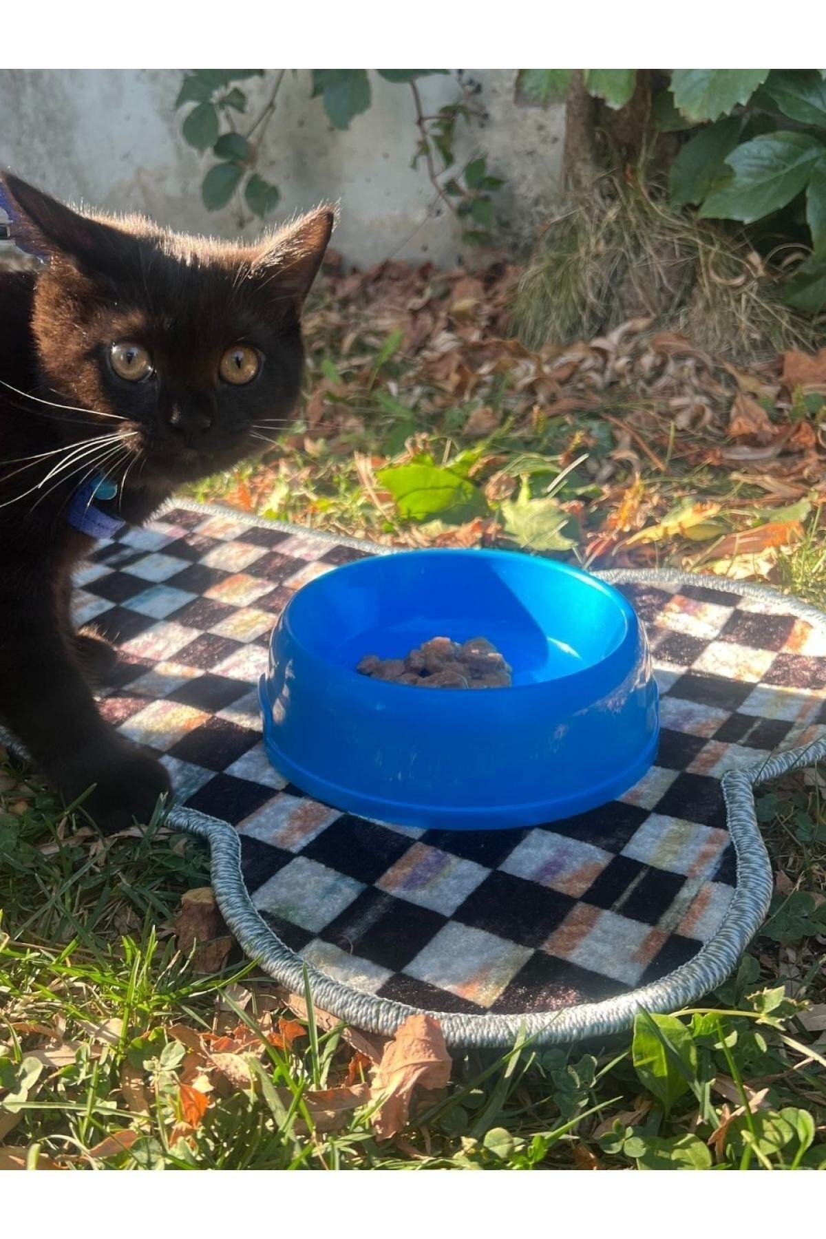 Pet Food Mat - (70 x 36) Blue