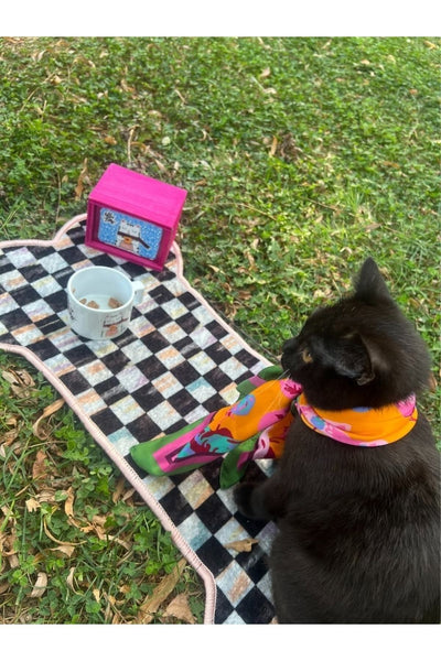 Pet Food Mat - (70 x 36) Green