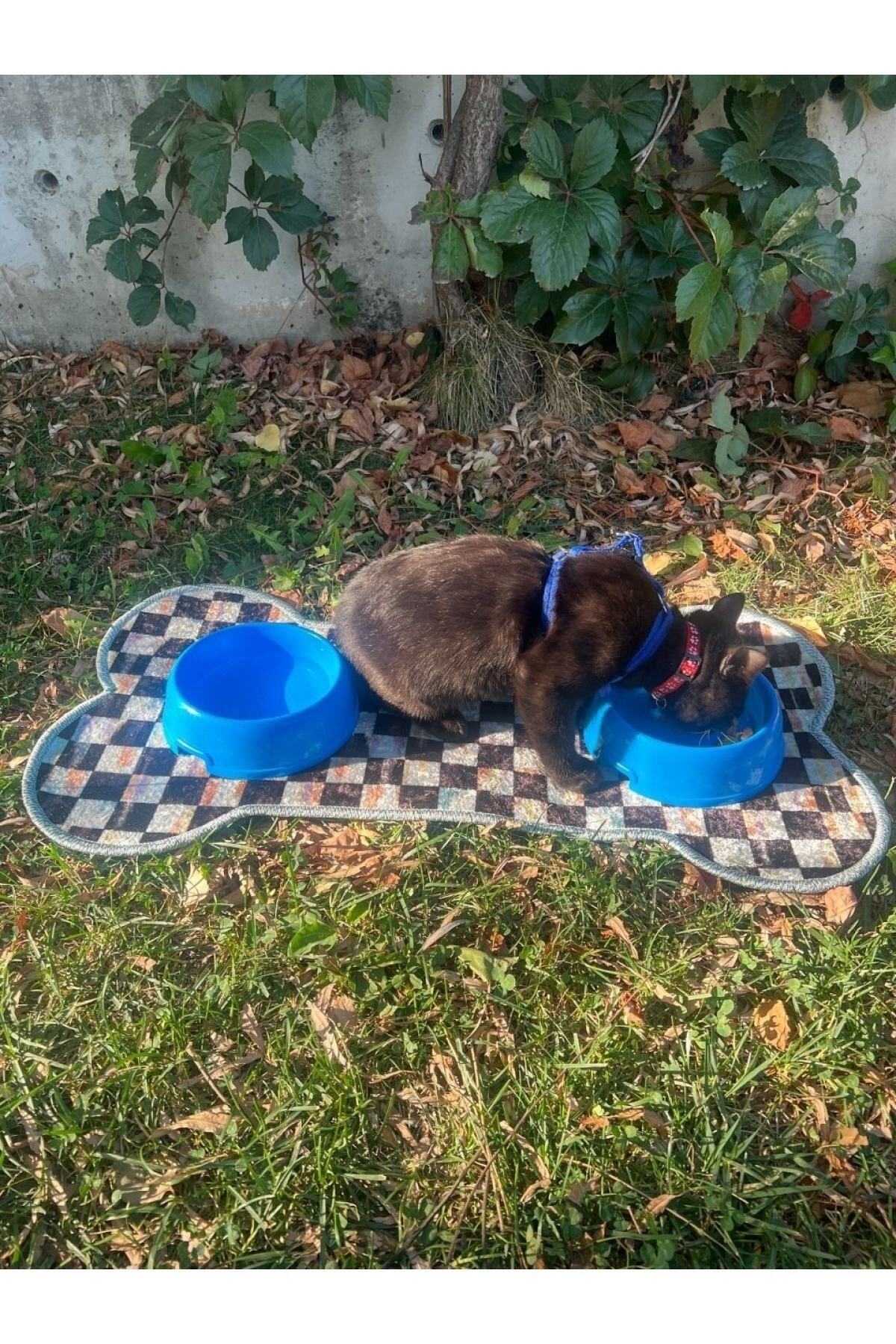 Pet Food Mat - (70 x 36) Blue