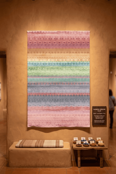 Washable Printed Colorway Rug - Southwestern Geometric Style